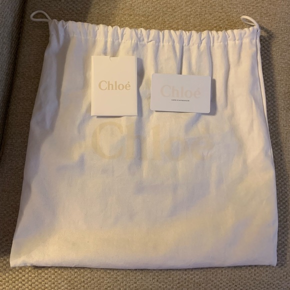 Authentic Chloe Crossbody. NWT. Light purple with dark purple & green accents. - Picture 6 of 12